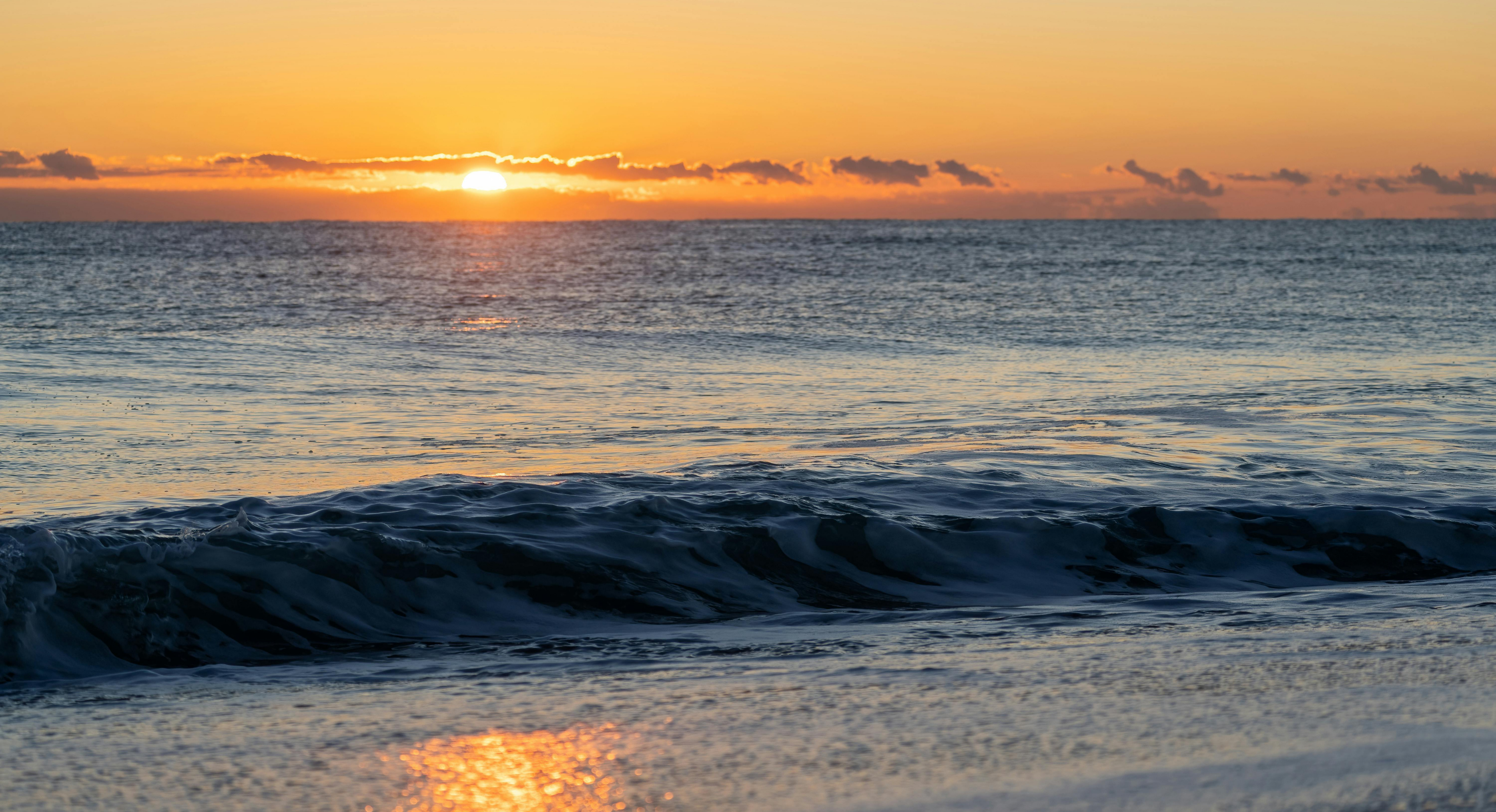 Alma del Mar Editorial