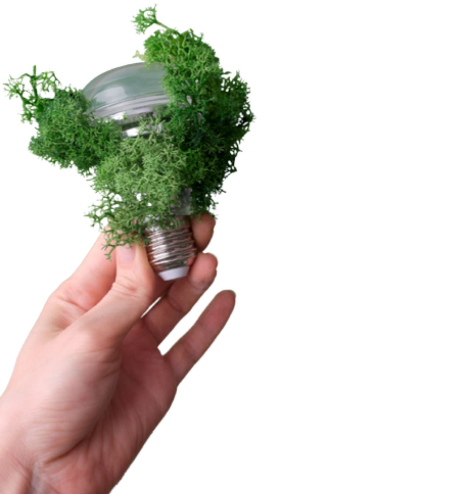 Sostenibilidad Alma del Mar