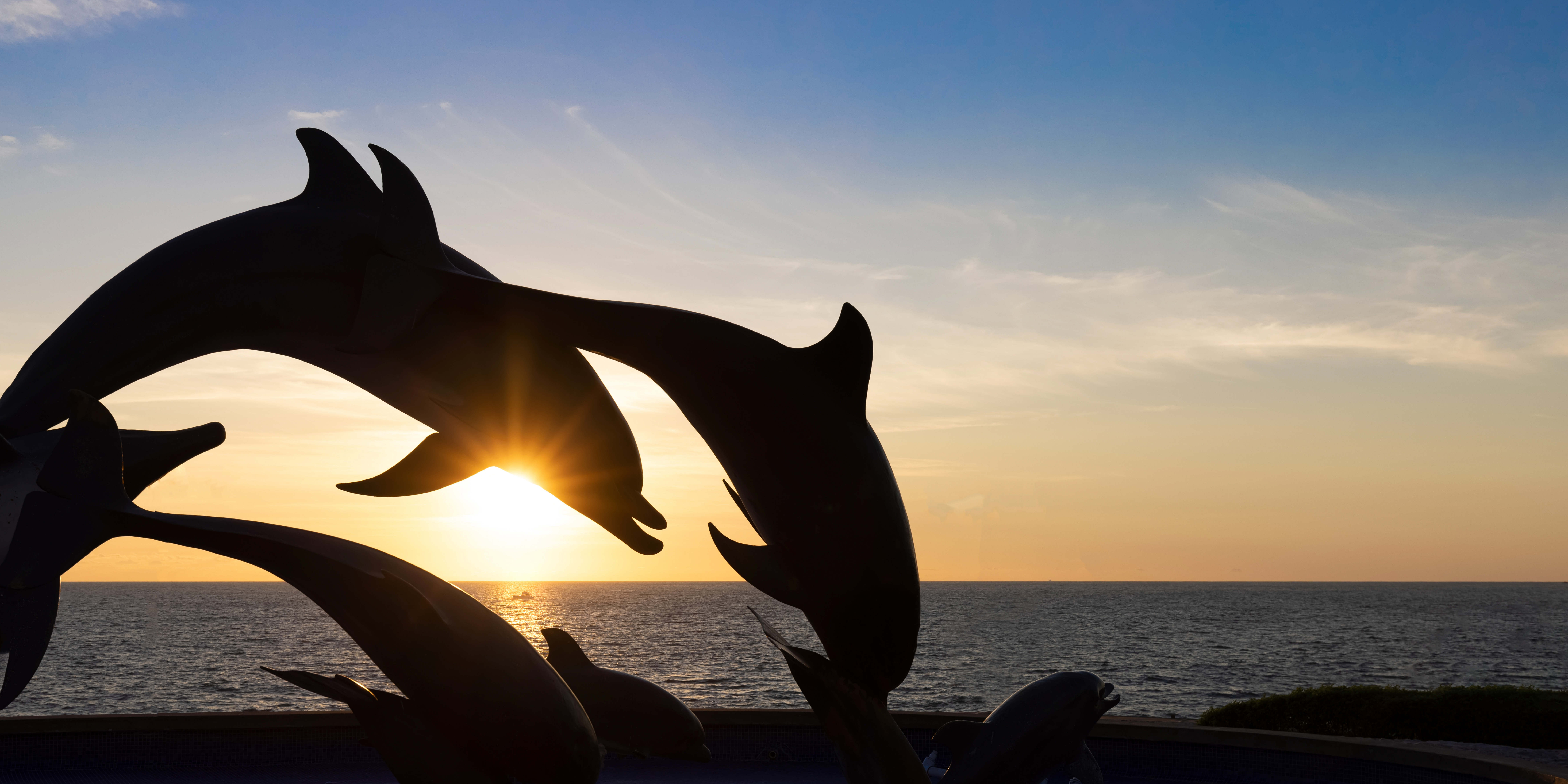 Delfines Alma del Mar